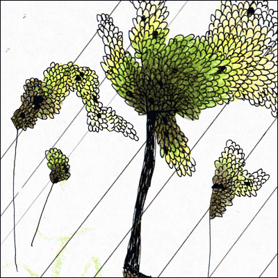 Die-Zeit-Daniela-Burger