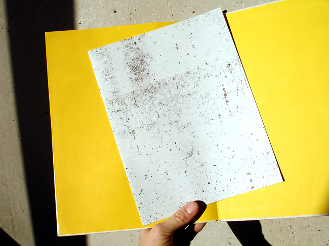 Euville-Daniela-Burger