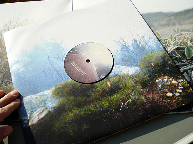 Lambert-Daniela-Burger