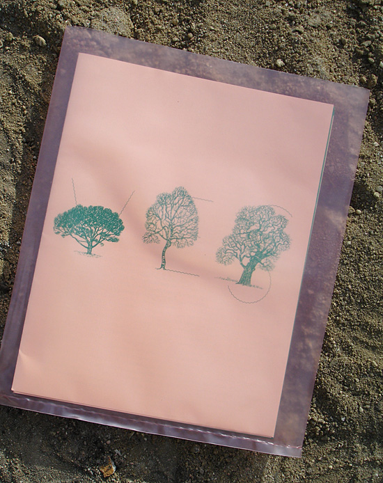 Leaves-Daniela-Burger