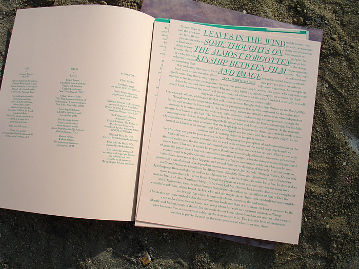 Leaves-Daniela-Burger