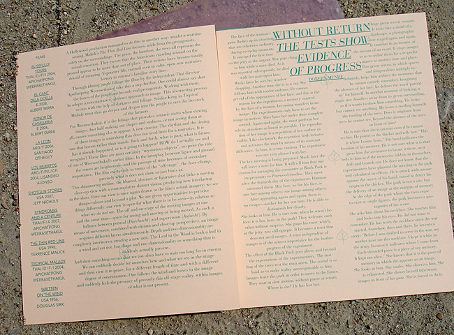 Leaves-Daniela-Burger