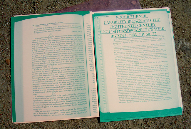 Leaves-Daniela-Burger