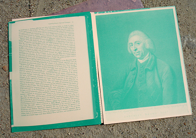 Leaves-Daniela-Burger