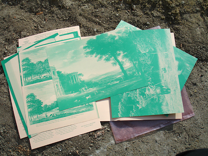 Leaves-Daniela-Burger