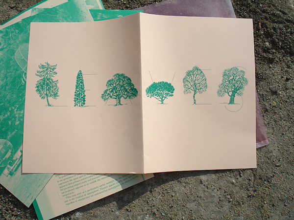 Leaves-Daniela-Burger