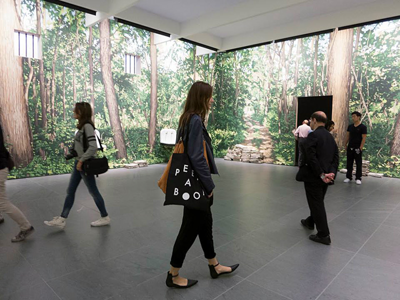 Peekaboo!-Daniela-Burger